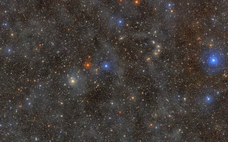 The largest digital camera ever built begins decade-long survey of the universe