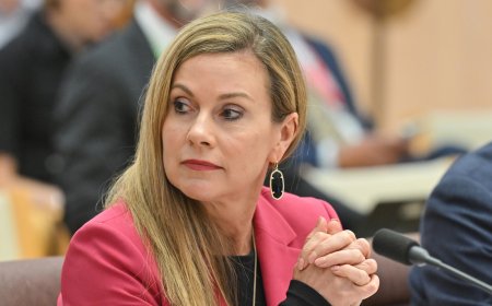 Australian prime minister condemns delay of changes to child social media ban