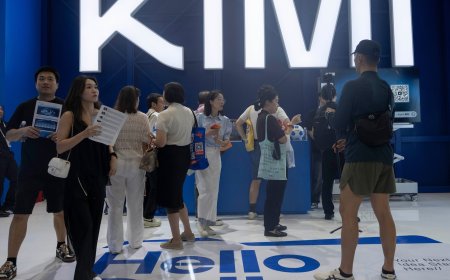 China's new AI model halts new subscriptions as demand swamps capacity
