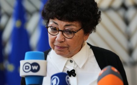 France’s environment minister resigns over emergency bill allowing 2 banned pesticides