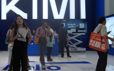 Cheaper, open and intelligent: Chinese AI models gain ground, as they make inroads in the US