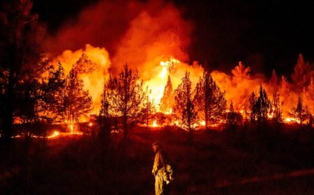 Wildfires are more extreme in Europe and North America
