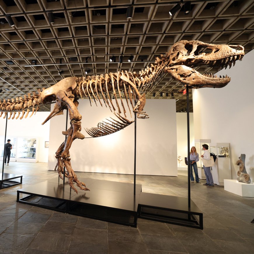 T. Rex Fossil Sells for $50.1 Million, Putting the King Back On Top