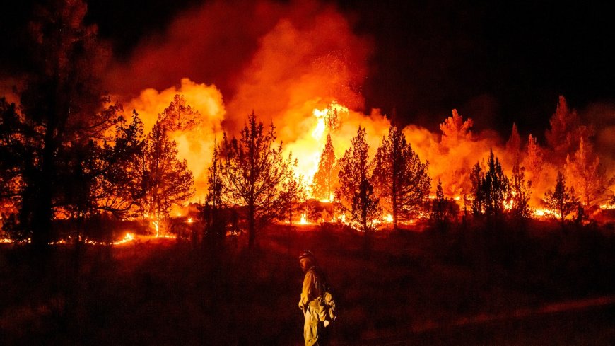 Wildfires are more extreme in Europe and North America