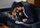 Gene-edited beagles may offer a future option for people with dog allergies