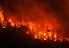 Climate change contributed to Canada fires, study says as Trump blames mismanagement