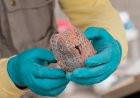 Archaeologists unveil skeletal remains believed to be ritual offering in Peru