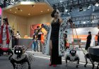 From robot dogs to helpers, China puts robotics ambitions on display at conference
