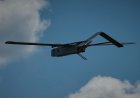 UN and Red Cross step up call for international rules on 'killer robot' weapons systems