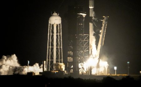 Scientists are certain a wayward SpaceX rocket slammed into the moon as predicted