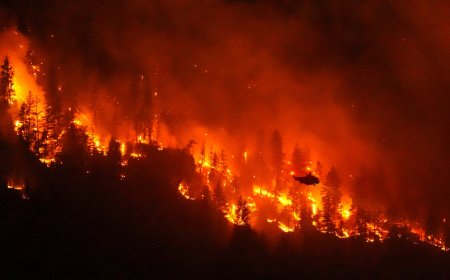 Climate change contributed to Canada fires, study says as Trump blames mismanagement