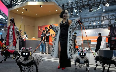 From robot dogs to helpers, China puts robotics ambitions on display at conference