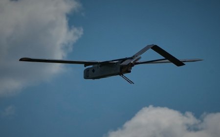 UN and Red Cross step up call for international rules on 'killer robot' weapons systems
