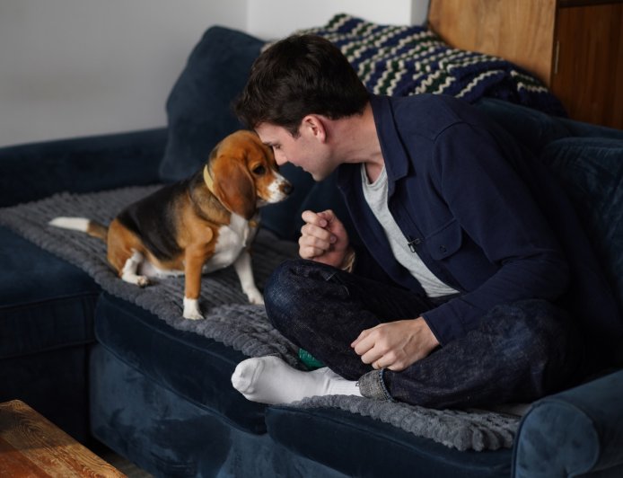 Gene-edited beagles may offer a future option for people with dog allergies