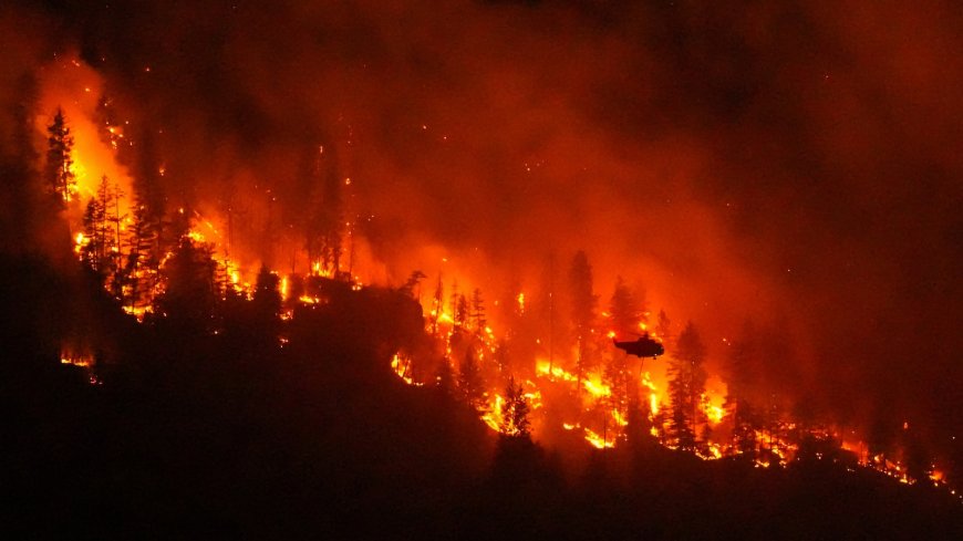 Climate change contributed to Canada fires, study says as Trump blames mismanagement