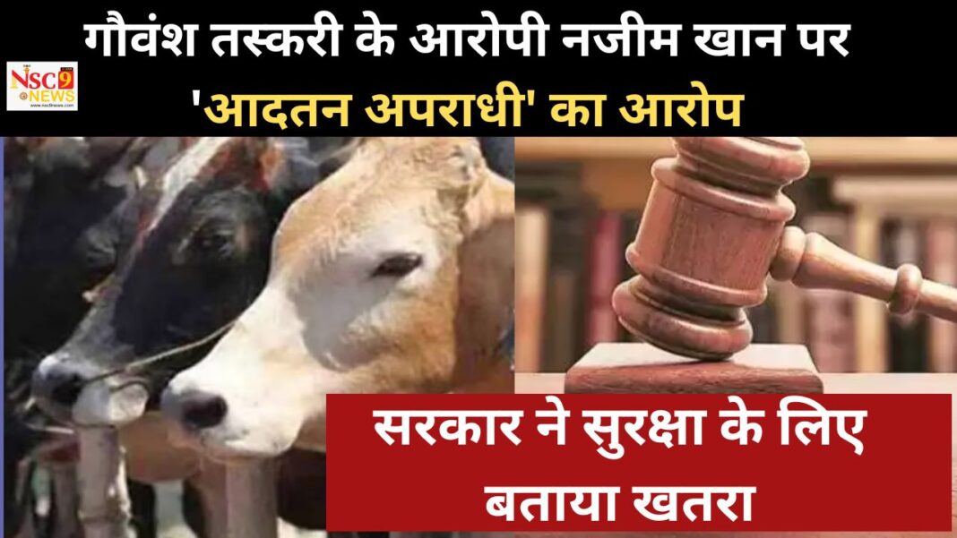 Cow Smuggling Case